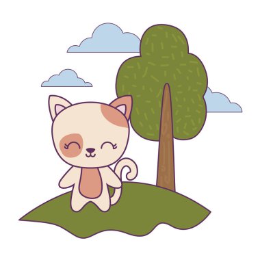 şirin kedi hayvan peyzaj