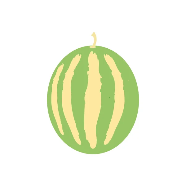 Färsk hälsosam vattenmelon frukt isolerad ikon — Stock vektor