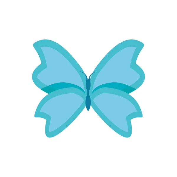 Icono de diseño de mariposa aislada ilustración vectorial — Vector de stock