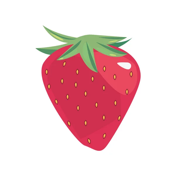 Fresa de frutas tropicales sobre fondo blanco — Vector de stock