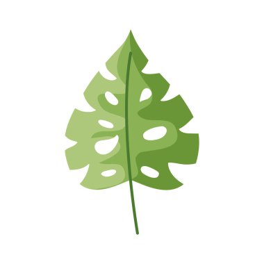 tropikal yaprak doğal izole simgesi