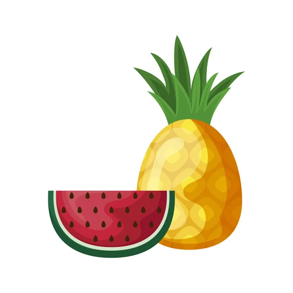 Vers stukje watermeloen met ananas vruchten — Stockvector