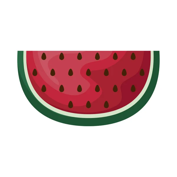 Rebanada fresca de fruta sandía — Vector de stock