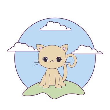 şirin kedi hayvan peyzaj