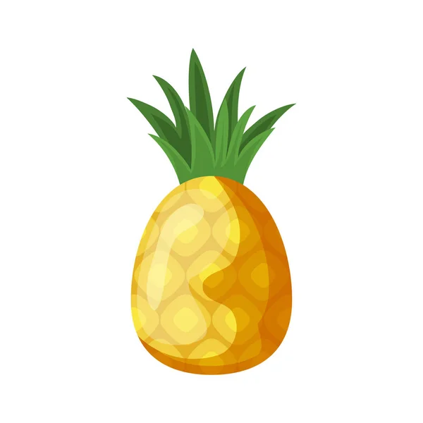 Verse ananas fruit geïsoleerde pictogram — Stockvector