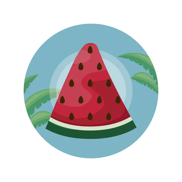 Scheibe Wassermelone im Rahmen kreisförmig mit tropischen Blättern — Stockvektor