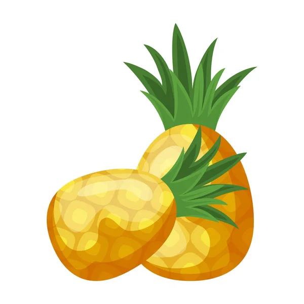 Frische Ananas Früchte isoliert Symbol — Stockvektor