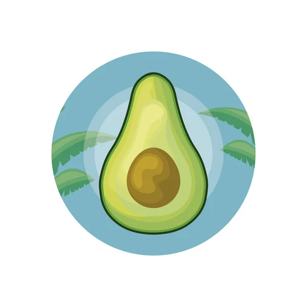 Aguacate fresco en marco circular con hojas tropicales — Vector de stock