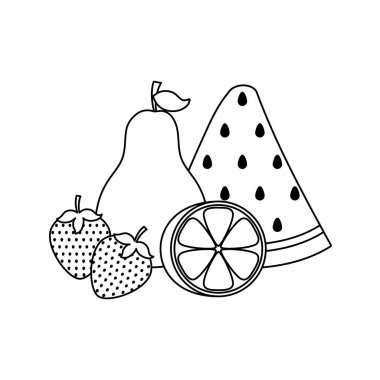 set meyve ile karpuz dilimi