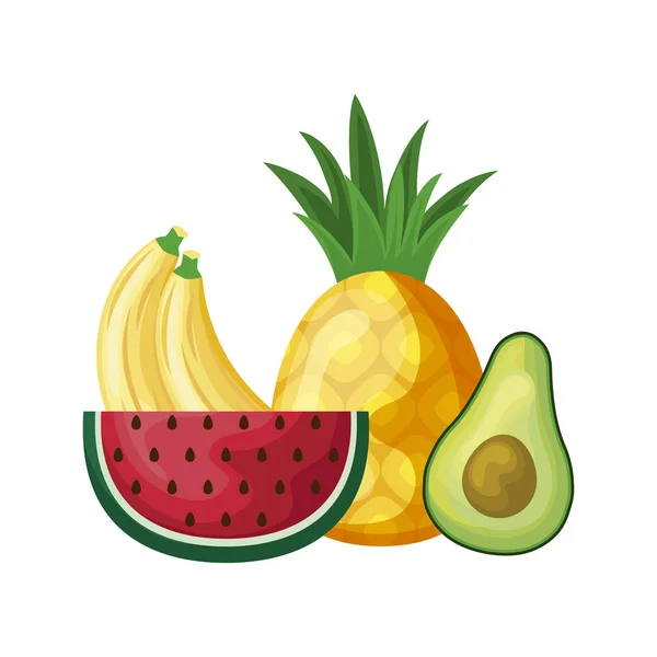 Rebanada de sandía con frutas — Vector de stock