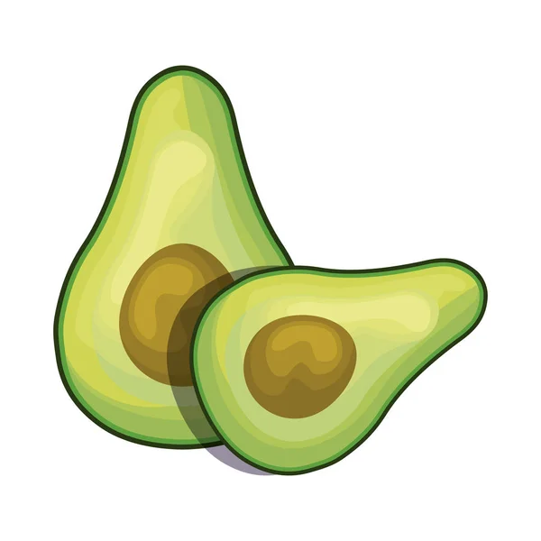 Aguacates frescos icono aislado saludable — Vector de stock