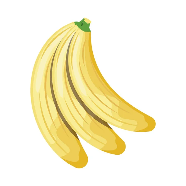 Plátanos frescos frutas iconos aislados saludables — Vector de stock