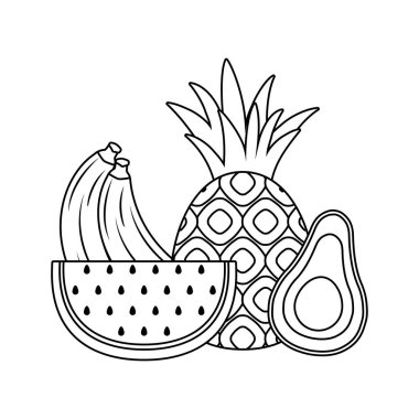 set meyve ile karpuz dilimi