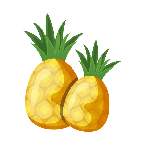 Verse ananas vruchten geïsoleerde pictogram — Stockvector