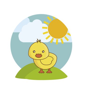 manzara doğal sevimli tavuk hayvan