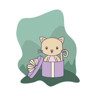 hediye kutusunda sevimli kedi hayvan