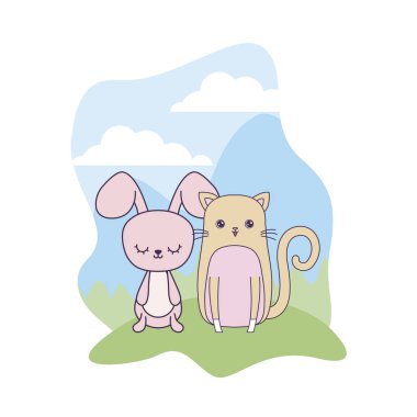 manzara kedi hayvanlar ile sevimli tavşan