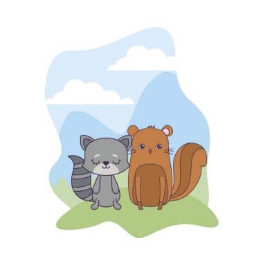 manzara kedi hayvanları ile sevimli sincap