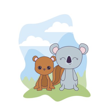 manzara koala hayvanları ile sevimli sincap