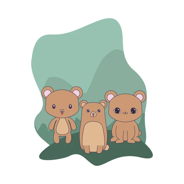 Drăguț urși animale izolate icoană — Vector de stoc