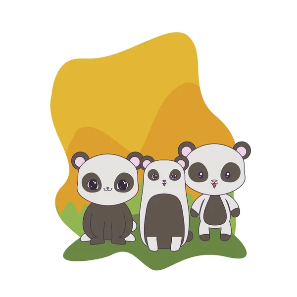 Panda ayılar hayvanlar izole simgesi — Stok Vektör