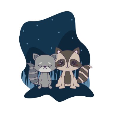 kedi hayvanlar ile sevimli rakun