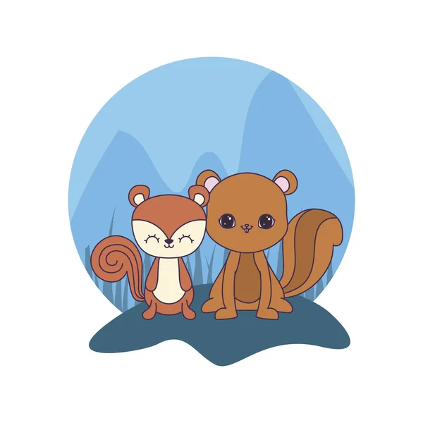 Drăguț veverițe animale vector ilustrare design — Vector de stoc