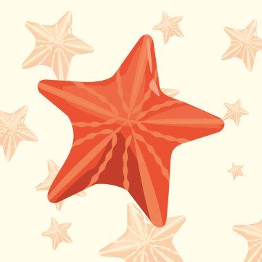 denizyıldızı deniz yaban hayatı tropikal arka plan yaz