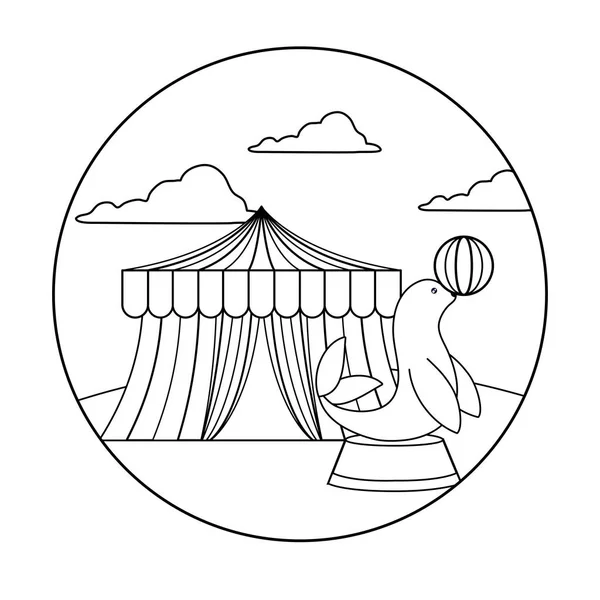 Тюленя с шаром и цирком палаток — стоковый вектор