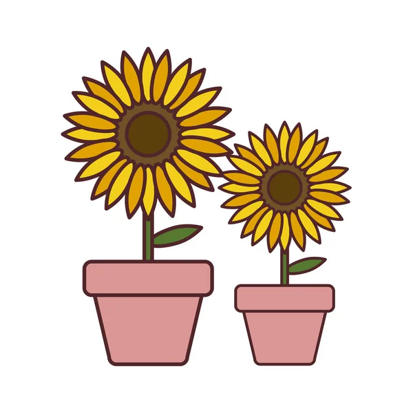 kaplar izole simgesi nde ayçiçeği seti