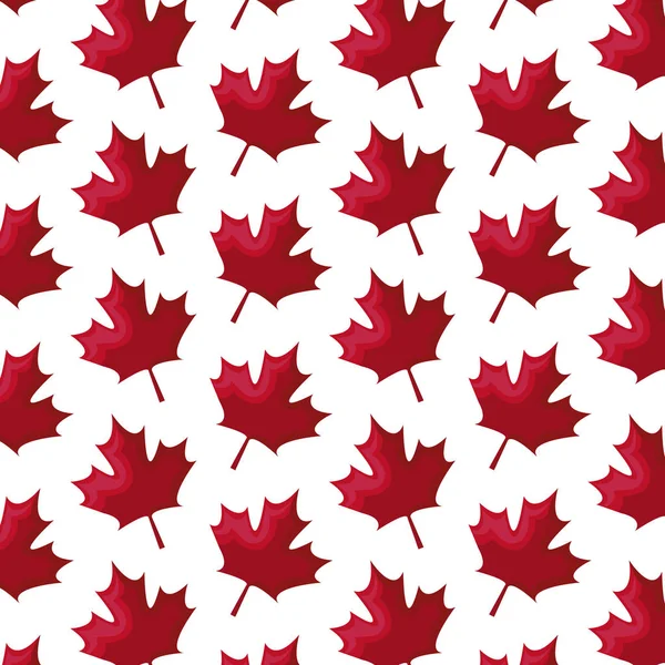 yapraklar akçaağaç kanada desen