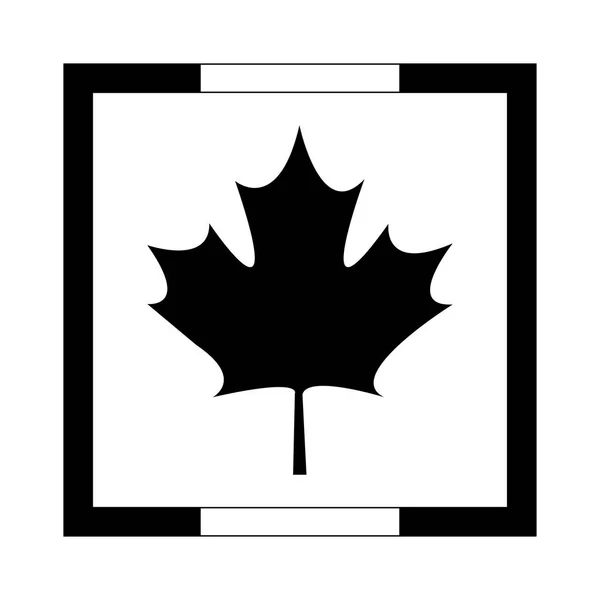 Maple leaf canada in frame square — Stock Vector
