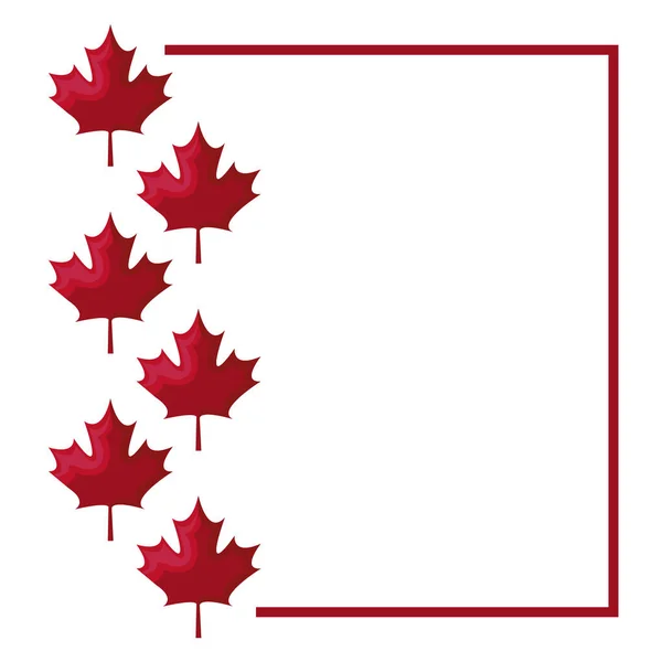 잎 단풍 나무 캐나다의 집합 — 스톡 벡터