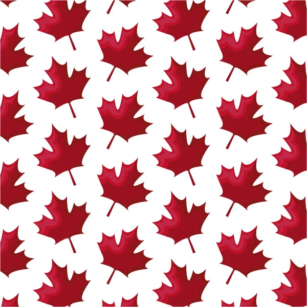 葉のパターンメープルカナダ — ストックベクタ
