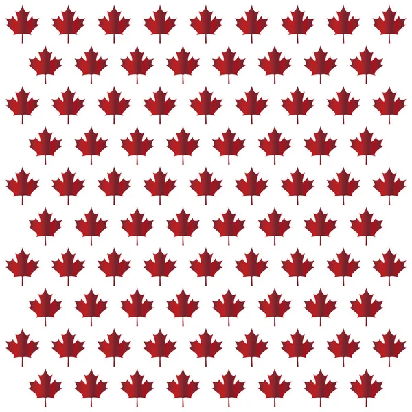 Pattern of leafs maple canada — Stock Vector