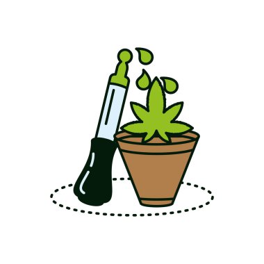 houseplant ile esrar şişe ürün damlalık