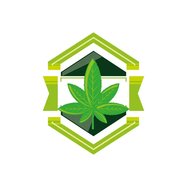 Cadre avec plante de feuille de cannabis — Image vectorielle