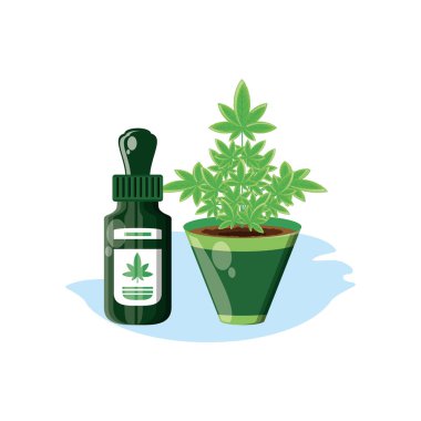 houseplant ile esrar şişe ürün damlalık