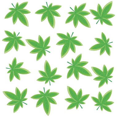 kenevir yaprağı bitki doğa deseni