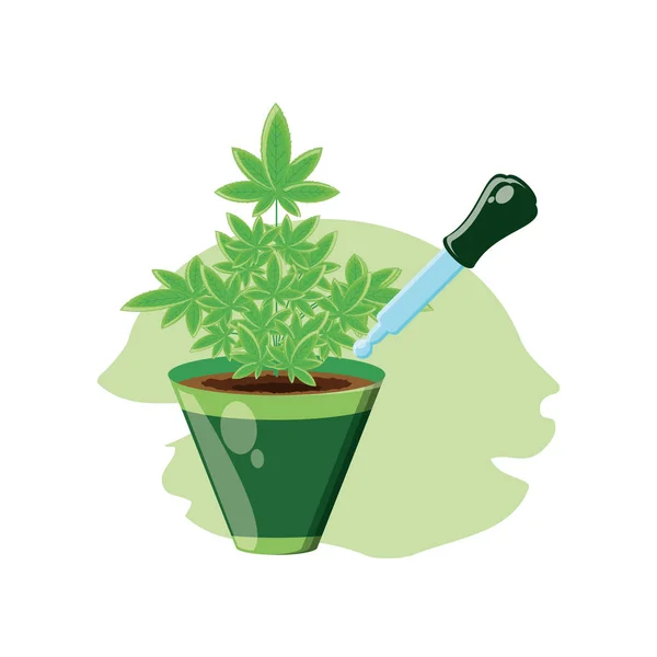 Cannabis plant in pot with dropper — Stock Vector