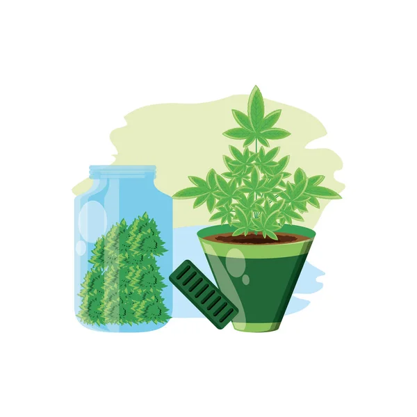 Cannabis bottle product with plant — Stock Vector