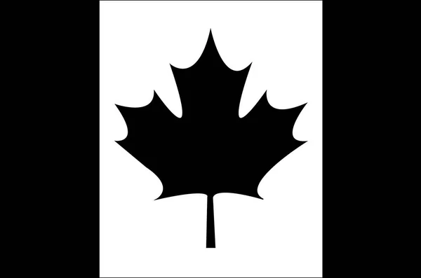 Флаг Канадской патриотической иконы — стоковый вектор