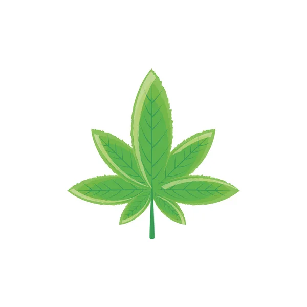 Cannabis Leaf növény jellege ikon — Stock Vector