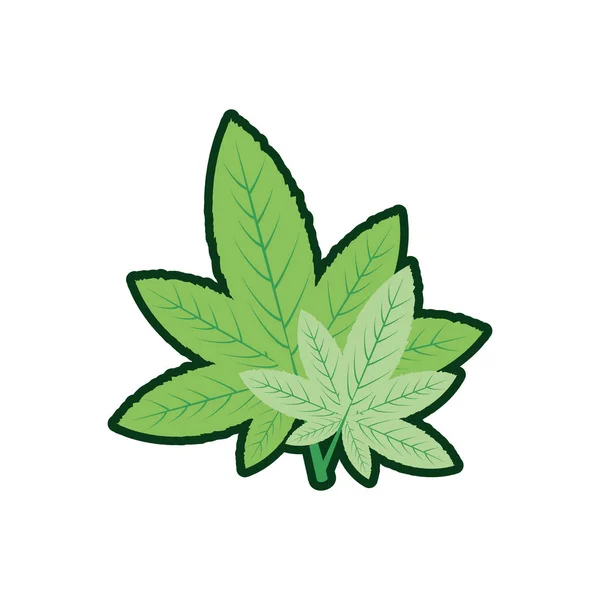 Cannabis leaf plant nature icon — Stock Vector