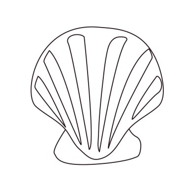 Deniz kabuğu beyaz zemin üzerine tarak