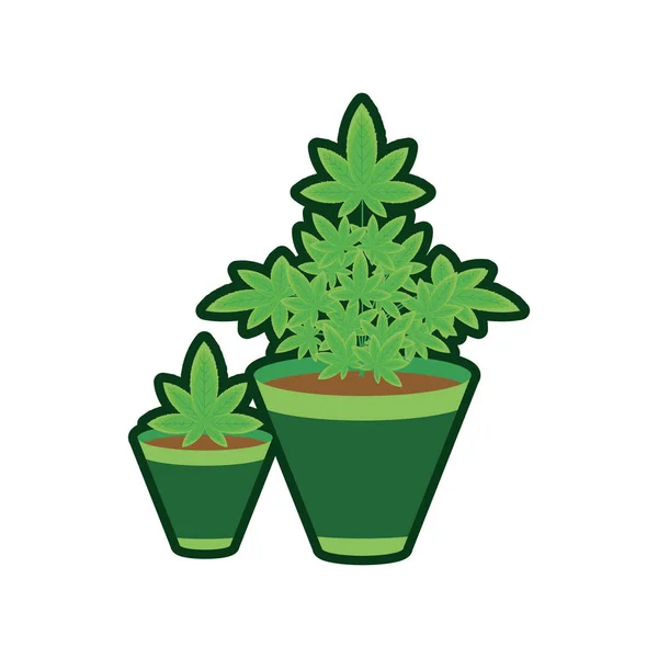 Cannabis plant in pot nature icon — Stock Vector