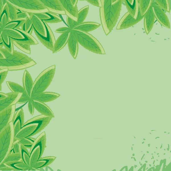 대마초 잎 식물 자연 프레임 — 스톡 벡터