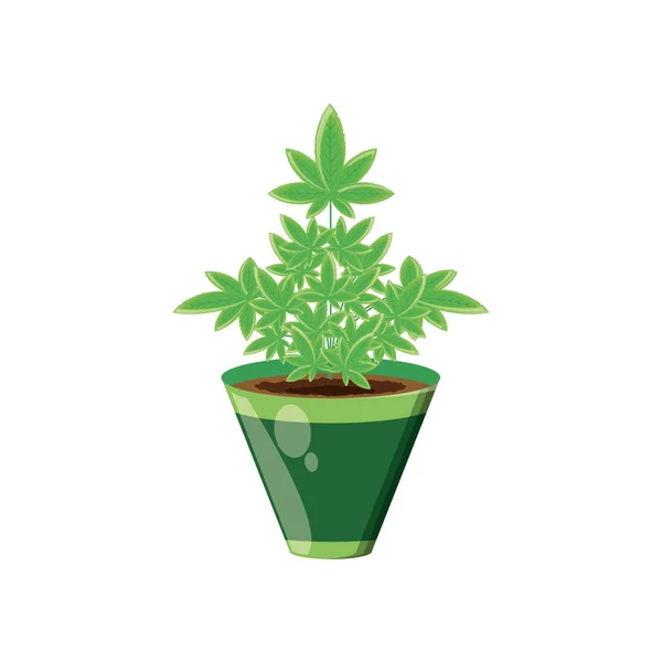 Cannabis plant in pot nature icon — Stock Vector