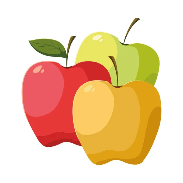 Äpplen färsk frukt i vit bakgrund — Stock vektor