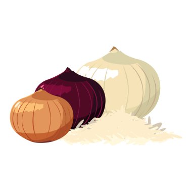 soğan kırmızı ve beyaz sebzeler